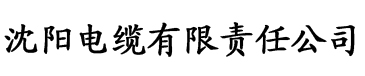 双性改造控制系统文电缆厂logo